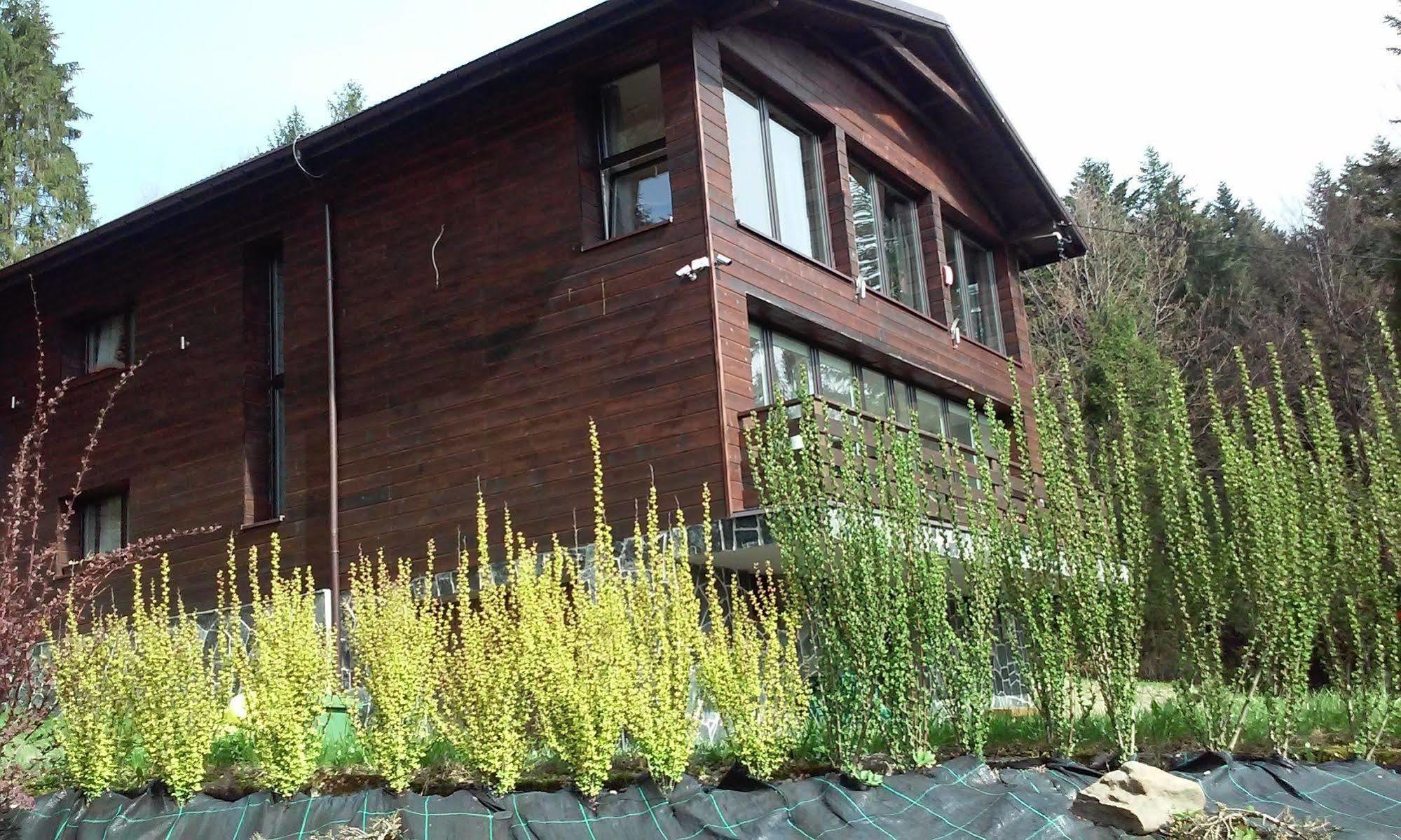 Karolinka Guest House Szczyrk Extérieur photo